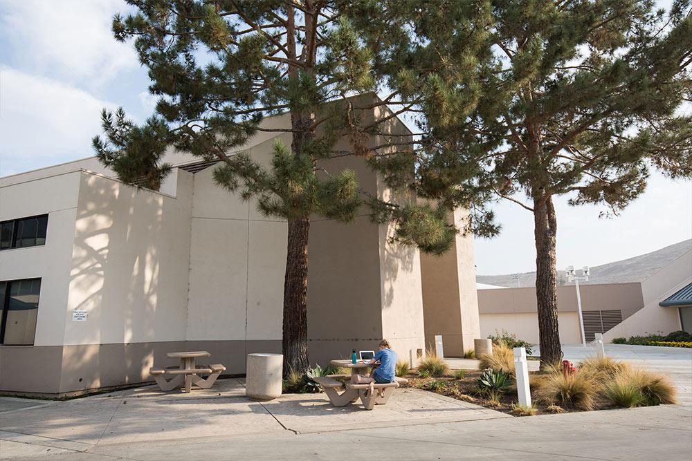  A student studies beneath the shade of the large pine trees outside the 剧院.